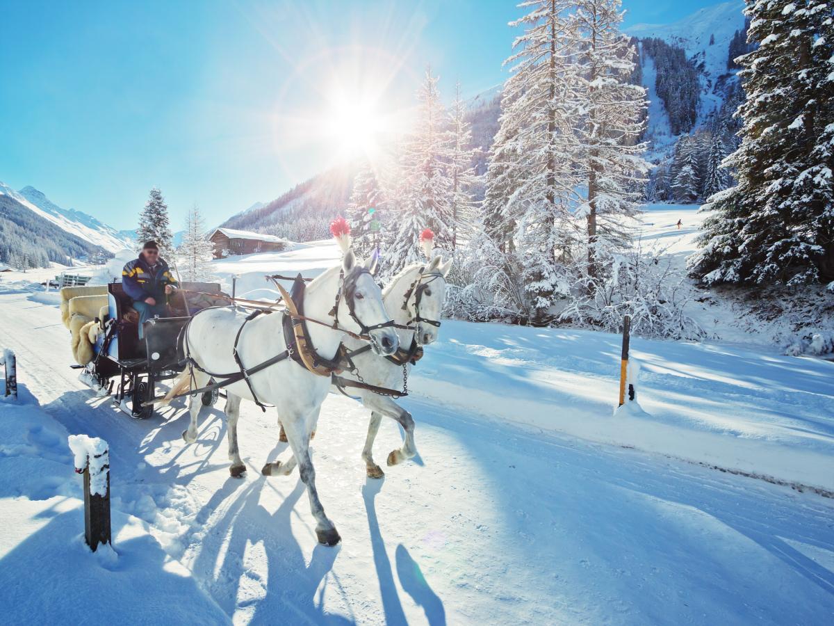 Pferdekutschenfahrt im Winter mit NKG Reisen.
