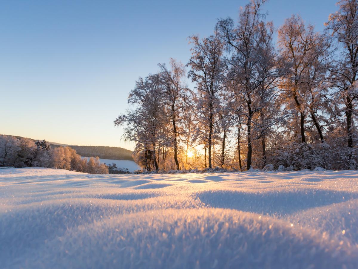 Winterlandschaft mit NKG Reisen im Bregenzerwald