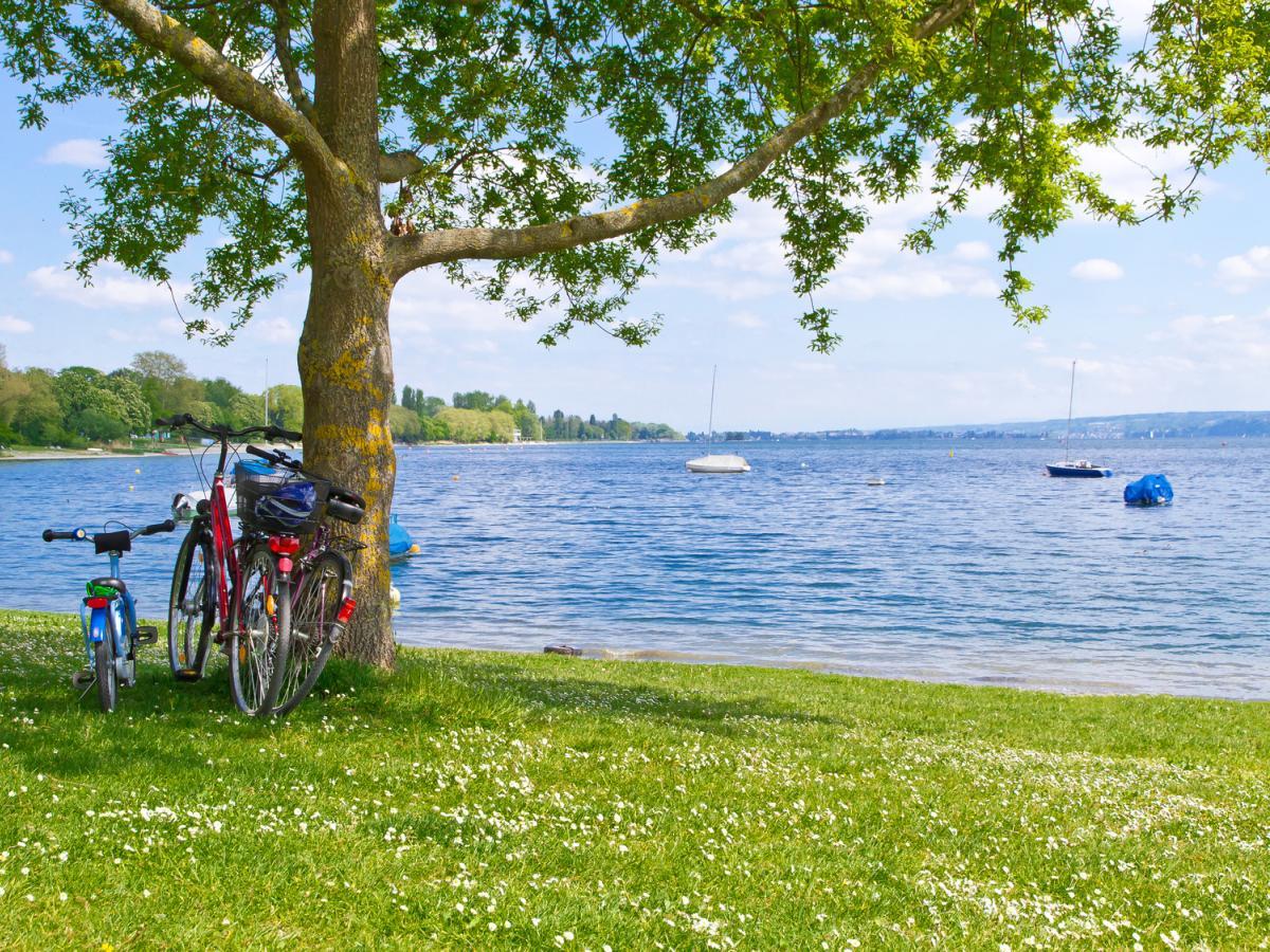 Mit NKG Reisen auf 5-Seen Radtour am Bodensee bei Radolfzell.