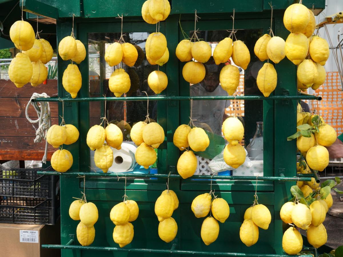 Zitronen für Limoncello