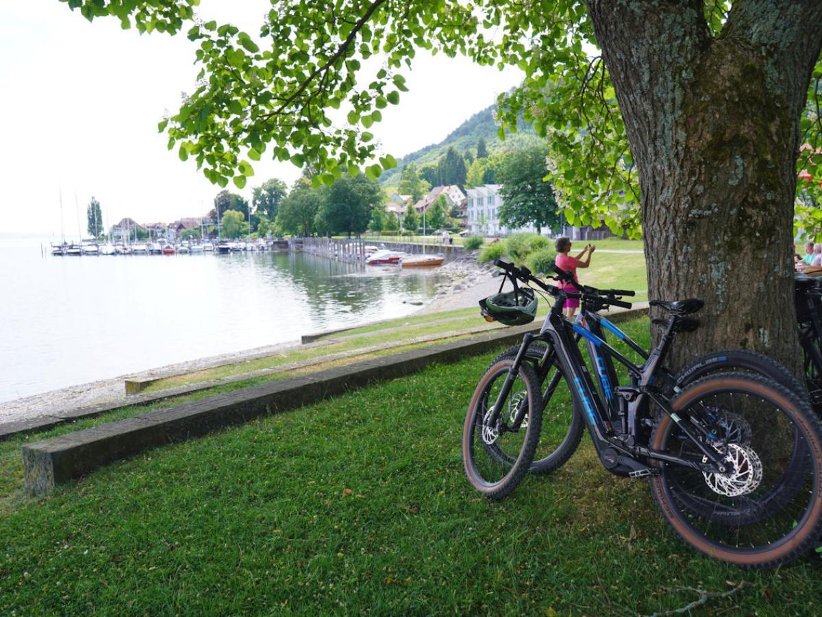 Bodensee mit Rad