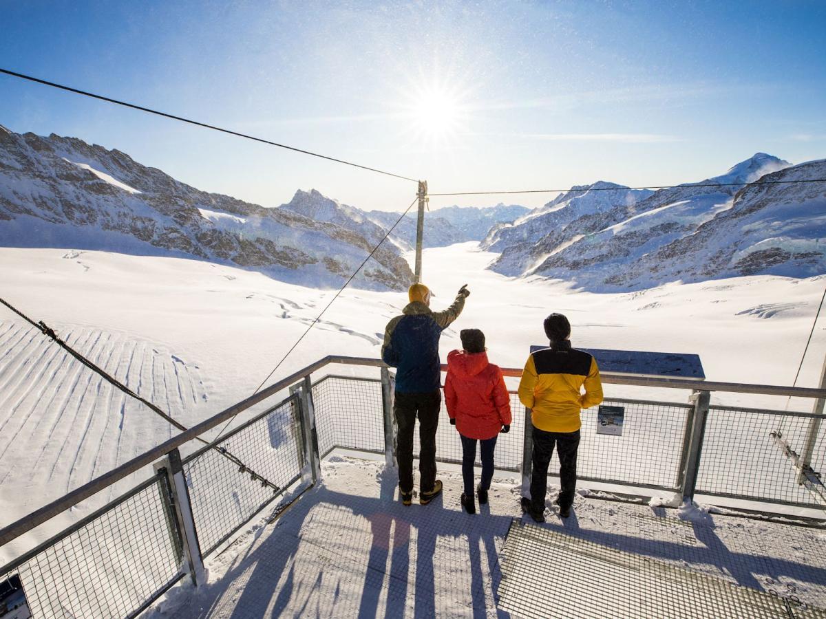 Blick auf den Aletschgletscher am Jungfraujoch