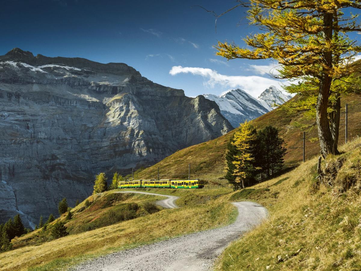 Wengernalpbahn am Jungfraujoch
