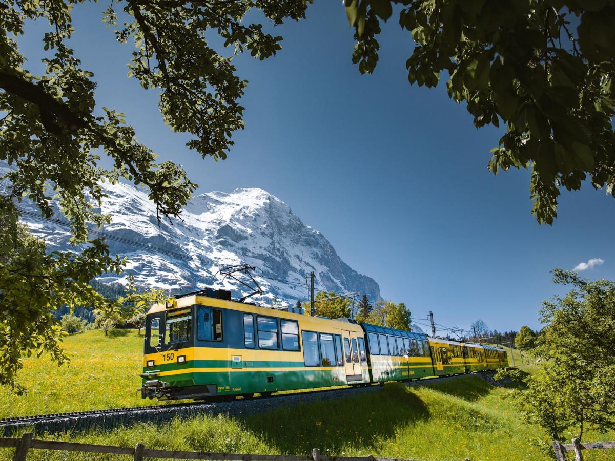 Wengernalpbahn am Jungfraujoch ab Vorarlberg