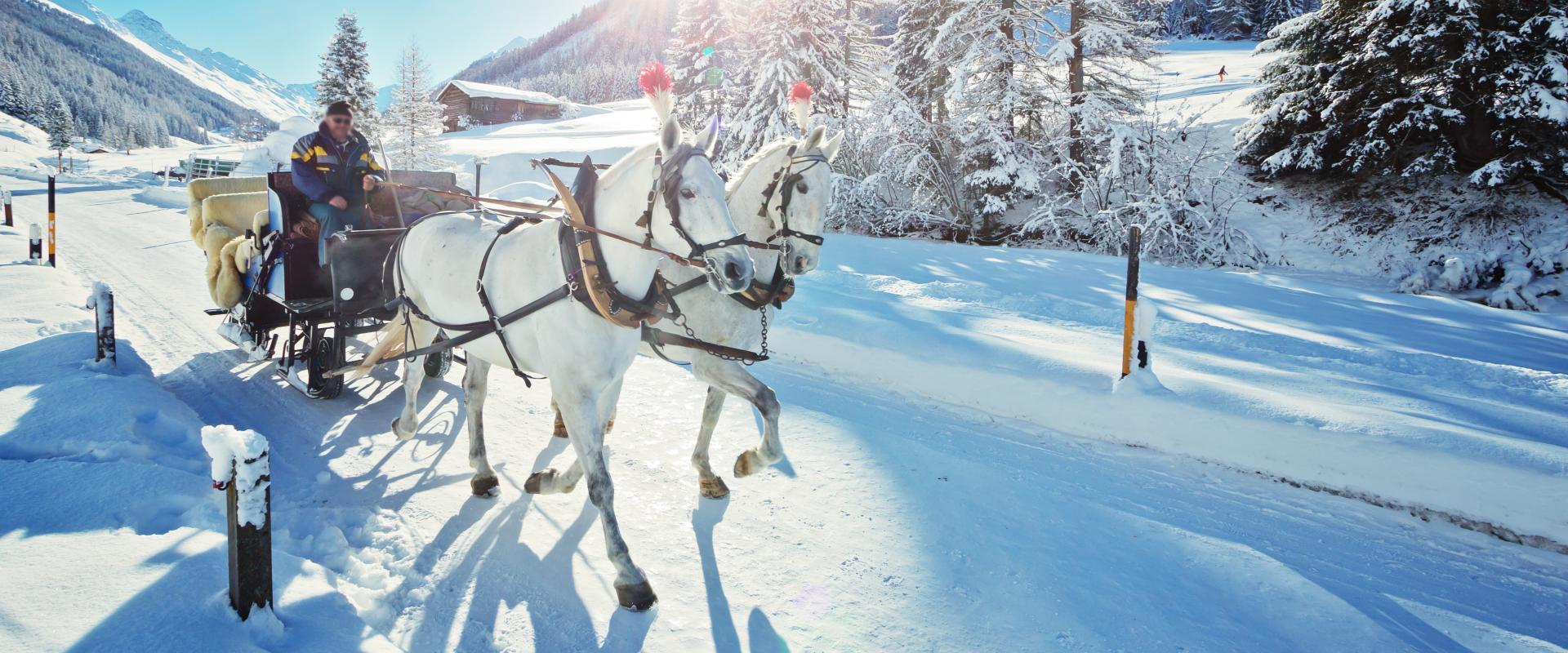 Pferdeschlittenfahrt in Vorarlberg